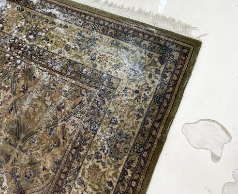 Antique Rug Washing Miami