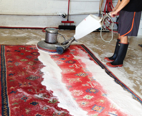 Miami Rug Cleaning Services Company