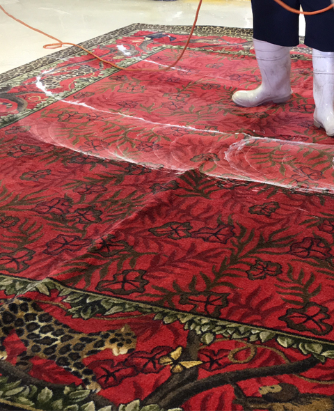 Area Rug Cleaning Miami