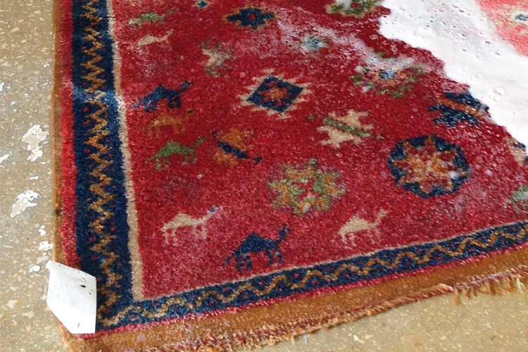 Area Rug Cleaning