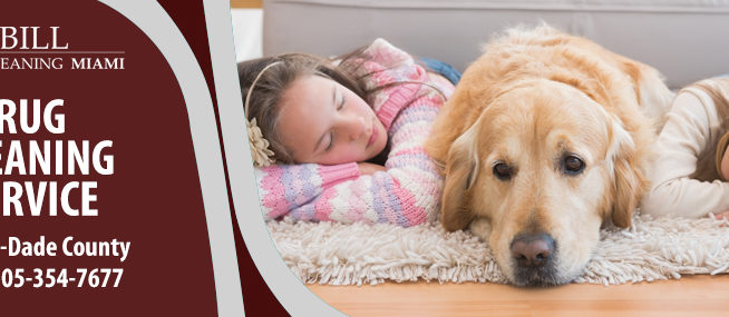 Pet Stain Removal Services