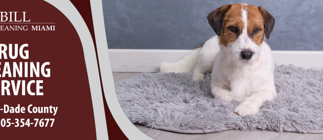 Pet Urine Odor Removal Services