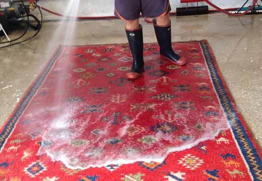 Area Rug Cleaning