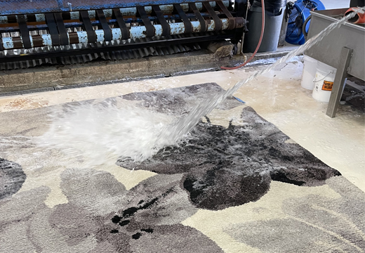 Modern Rug Cleaning Miami