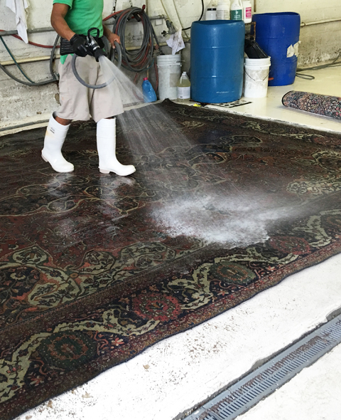 Oriental Rug Cleaning