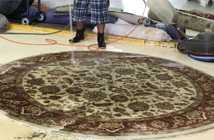 Oriental Rug Washing Miami