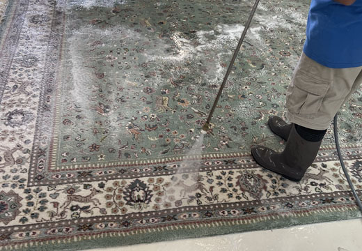 Persian Rug Cleaning