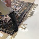 Rug Fringe Cleaning