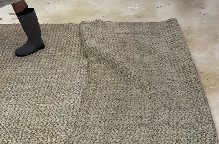 Sisal Rug Washing