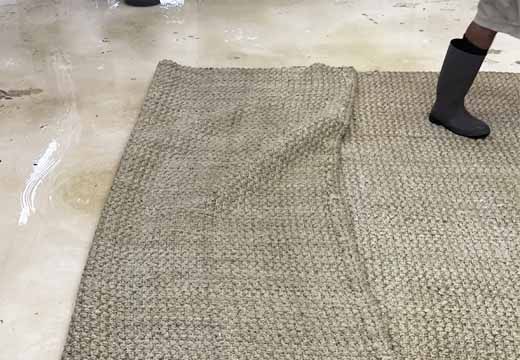 Sisal Rug Cleaning