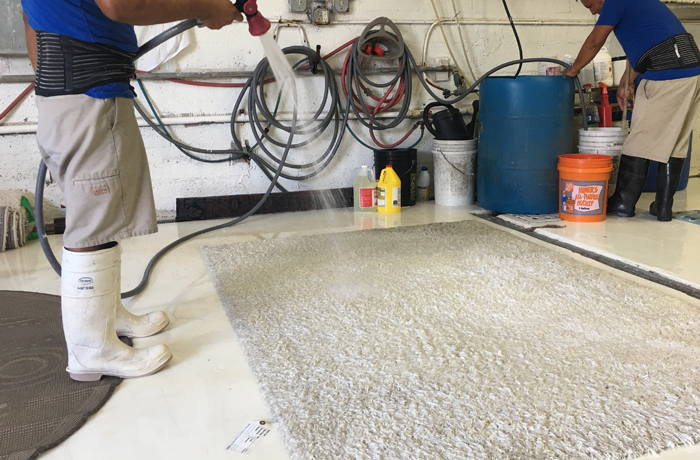 Miami Wool Rug Cleaning Service Company